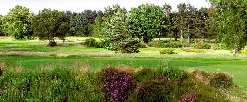 Walton-Heath-Golf-Club-England
