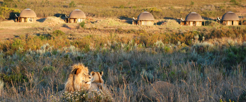 Best-of-City-and-Safari-South-Africa